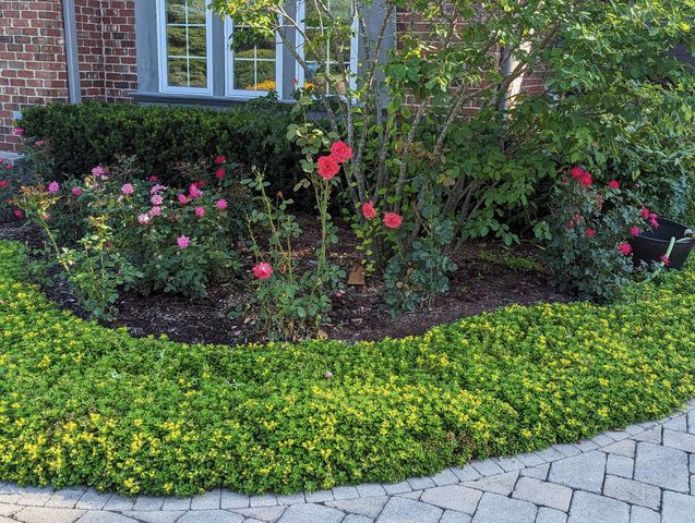 28360 Heritage Oak Road, Barrington, IL 60010