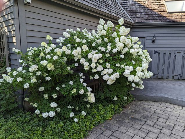 28360 Heritage Oak Road, Barrington, IL 60010