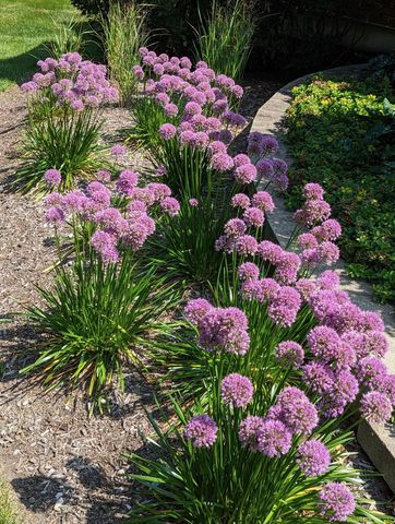 28360 Heritage Oak Road, Barrington, IL 60010