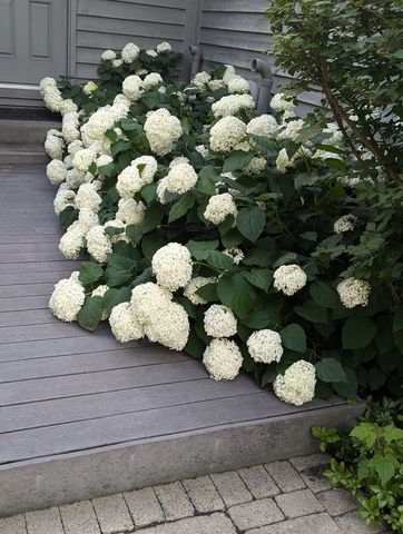 28360 Heritage Oak Road, Barrington, IL 60010