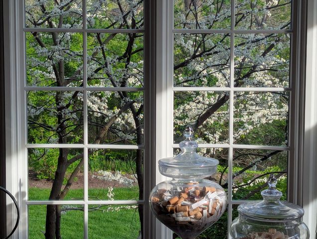 28360 Heritage Oak Road, Barrington, IL 60010