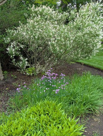 28360 Heritage Oak Road, Barrington, IL 60010