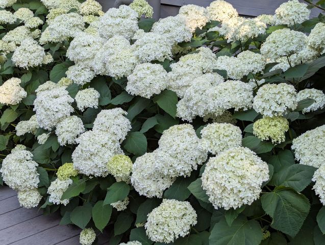 28360 Heritage Oak Road, Barrington, IL 60010