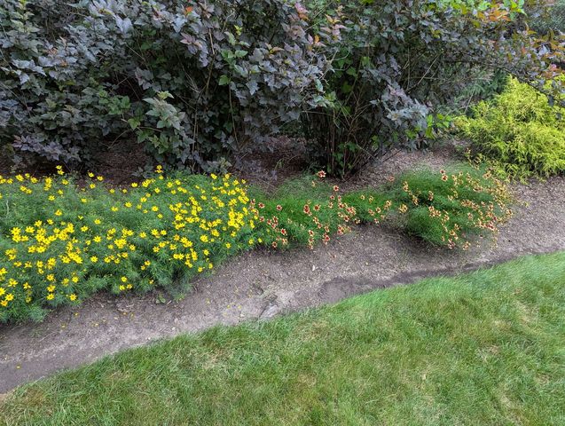 28360 Heritage Oak Road, Barrington, IL 60010