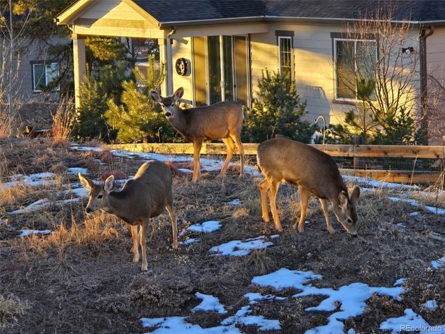 6677 S Catawba Way, Aurora, CO 80016