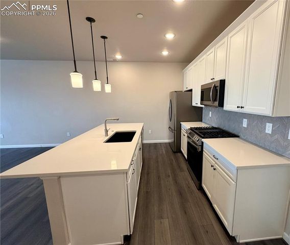 1545 Spring Water Point, Colorado Springs, CO 80908