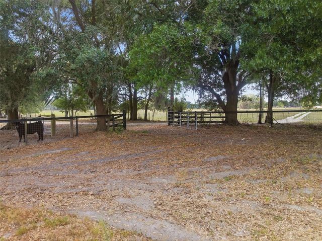 35600 BLANTON ROAD, Dade City, FL 33523