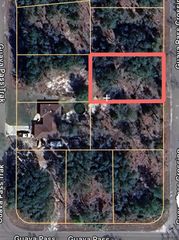 GUAVA PASS CROSSING 5, Ocklawaha, FL 32179