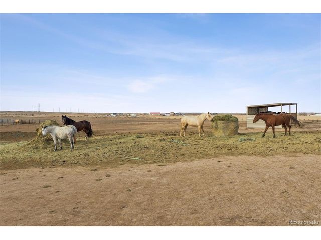 13013 County Road 86, Pierce, CO 80650
