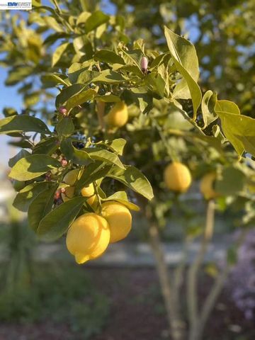 4022 4022 Silver St, Pleasanton, CA 94566