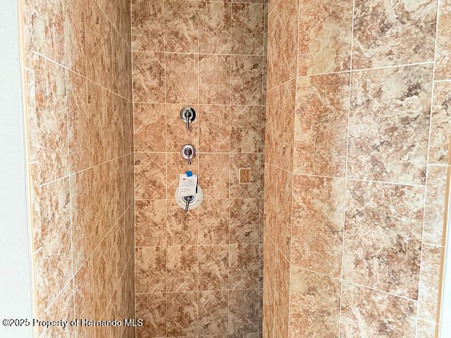 13171 Delbarton Street, Spring Hill, FL 34609