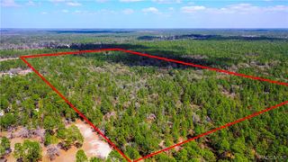 7137 W Sunmar Sample Lane, Dunnellon, FL 34433