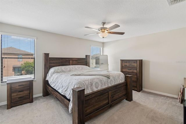 13917 ARBOR PINES DRIVE, Riverview, FL 33579