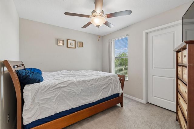 13917 ARBOR PINES DRIVE, Riverview, FL 33579