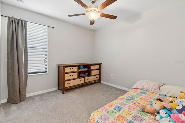 13917 ARBOR PINES DRIVE, Riverview, FL 33579