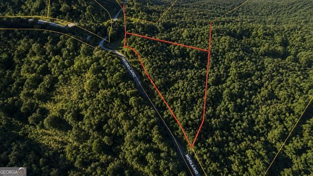 0 Roaring Forks Lane, Ellijay, GA 30540