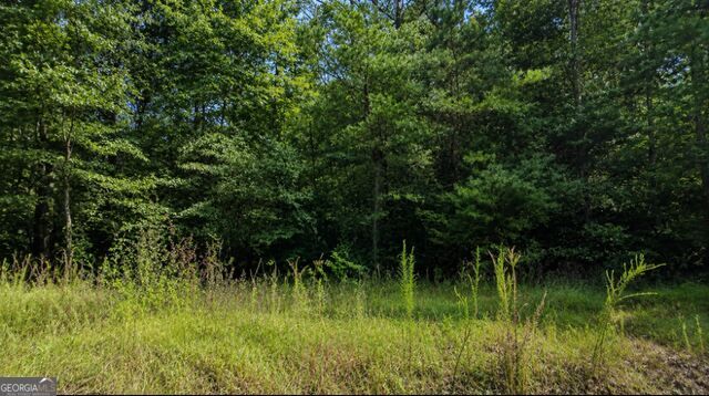 0 Roaring Forks Lane, Ellijay, GA 30540