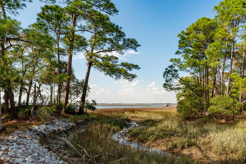Image 55 of property listing at 1 Red Sunset Lane, Folly Beach, SC 29439