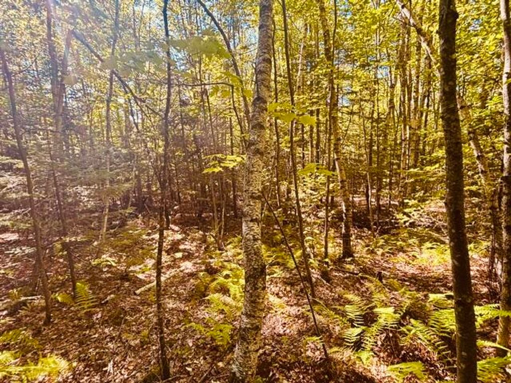 R06-31-c Bow Street, Otisfield, ME 04270 — photo 4