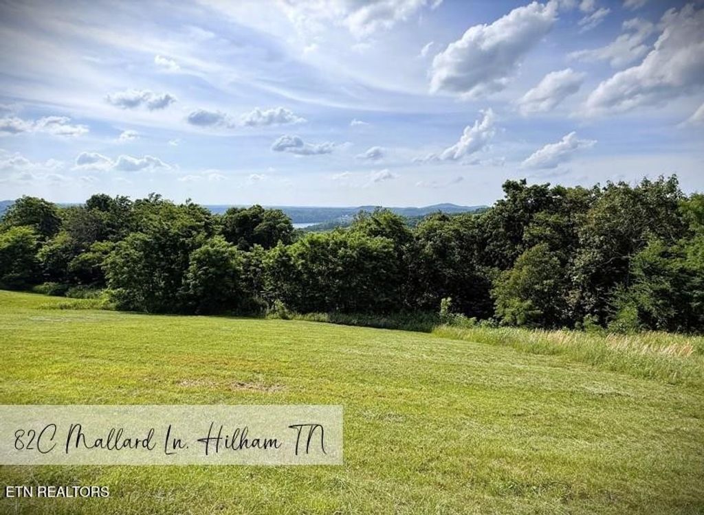 82 Mallard rd, Hilham, TN 38568