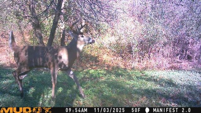 S9025 Lowes Creek Road, Eleva, WI 54738