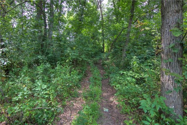 S9025 Lowes Creek Road, Eleva, WI 54738