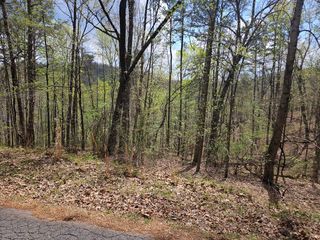 135 Adair Drive, Ranger, GA 30734