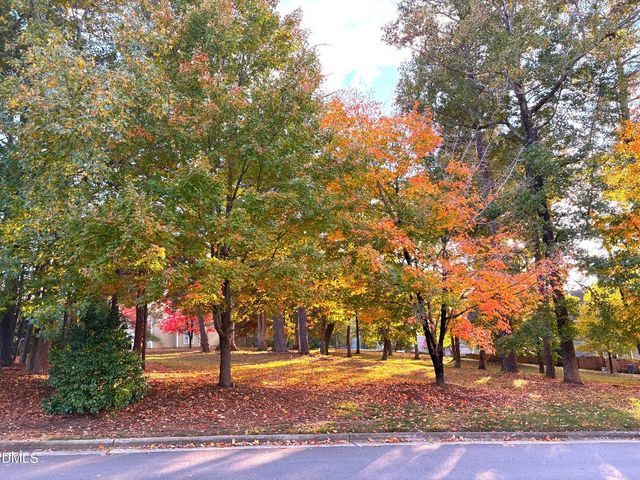 1131 Bungalow Park Drive, Apex, NC 27502