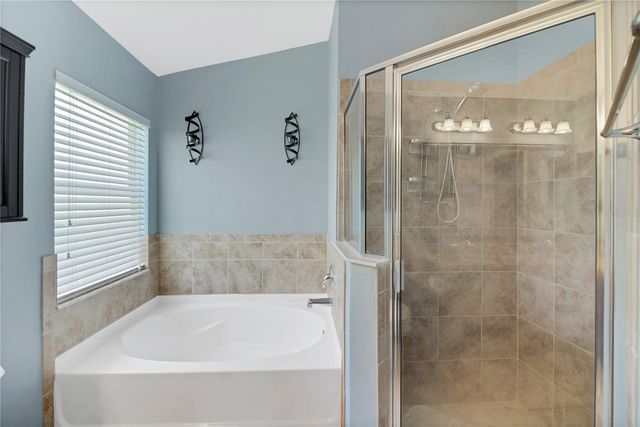 31113 STONE ARCH AVENUE, Wesley Chapel, FL 33545