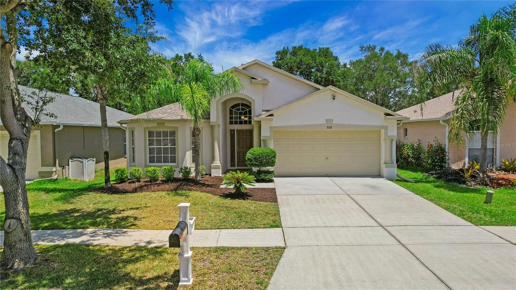 31113 STONE ARCH AVENUE, Wesley Chapel, FL 33545