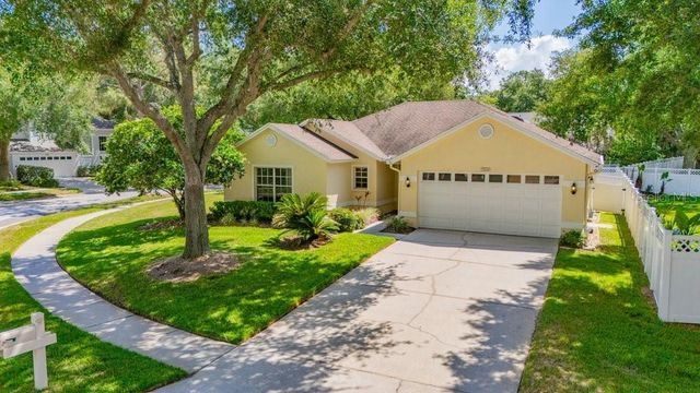17610 ESPRIT DRIVE, Tampa, FL 33647
