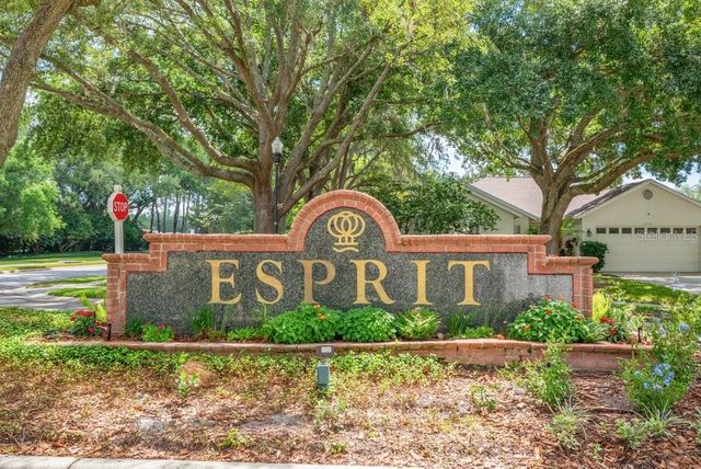 17610 ESPRIT DRIVE, Tampa, FL 33647