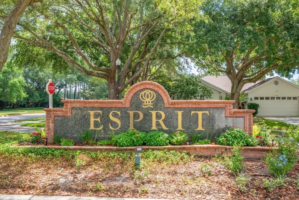 Image 47 of property listing at 17610 ESPRIT DRIVE, Tampa, FL 33647