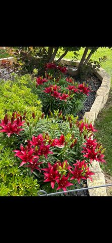 10013 W Jewell Cir, Wichita, KS 67209