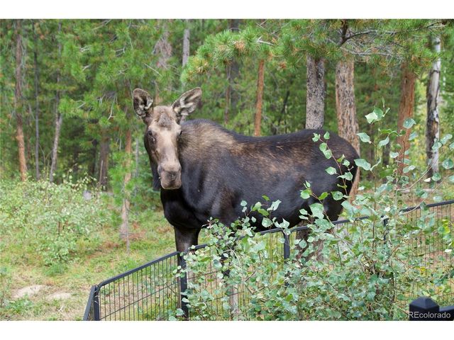 113 GCR 4948, Grand Lake, CO 80447