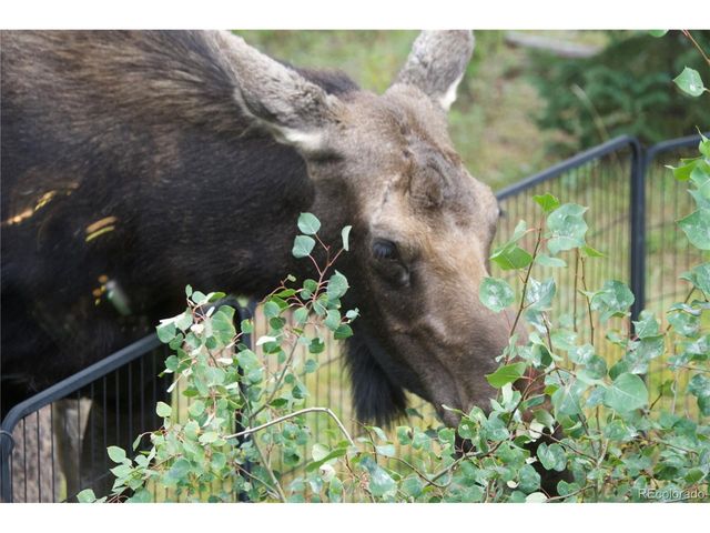 113 GCR 4948, Grand Lake, CO 80447