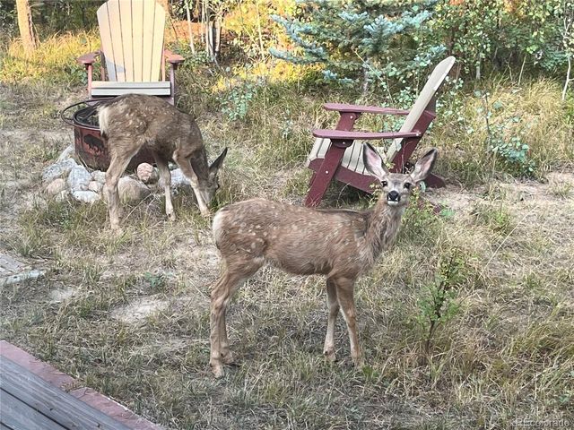 113 GCR 4948, Grand Lake, CO 80447