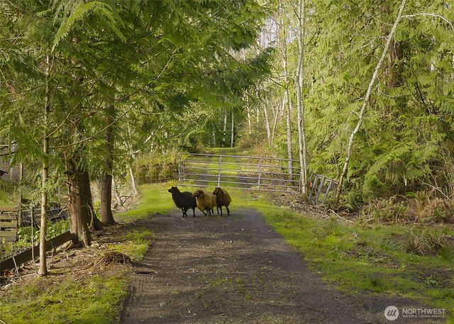 6091 Wilson Creek Road SE, Port Orchard, WA 98367