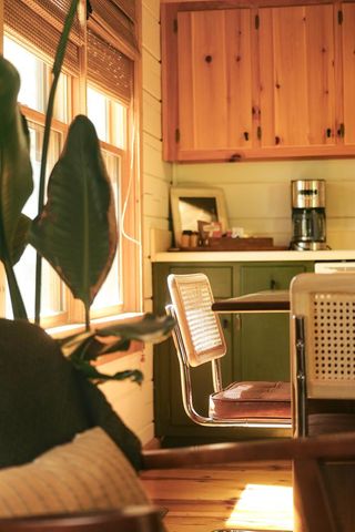 7 Ascherman Court, Blue Ridge, GA 30513