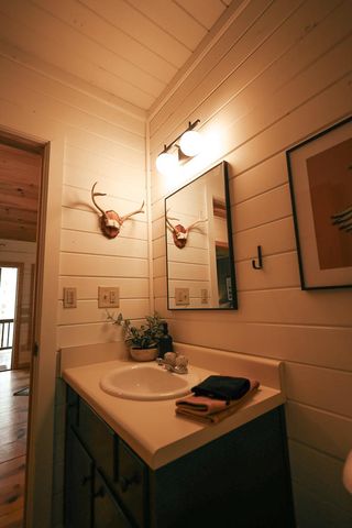 7 Ascherman Court, Blue Ridge, GA 30513