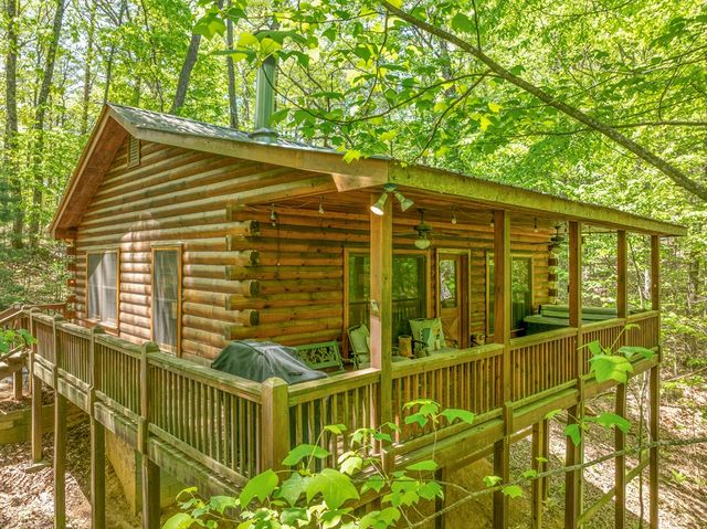 7 Ascherman Court, Blue Ridge, GA 30513