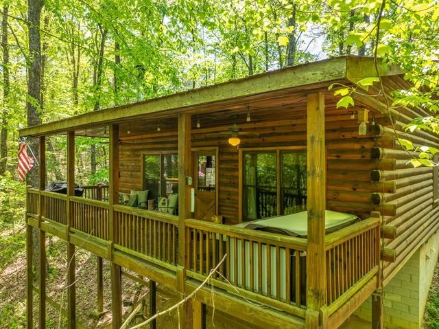 7 Ascherman Court, Blue Ridge, GA 30513