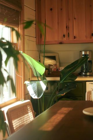 7 Ascherman Court, Blue Ridge, GA 30513