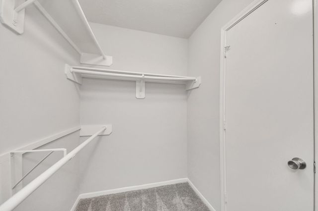 2315 Cardinal Elm Street, Fresno, TX 77545