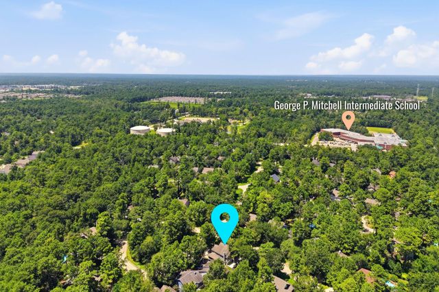 106 Autumn Branch Drive, The Woodlands, TX 77382