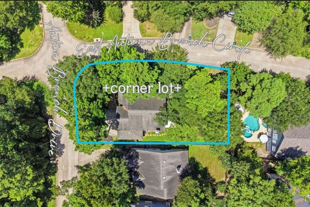106 Autumn Branch Drive, The Woodlands, TX 77382