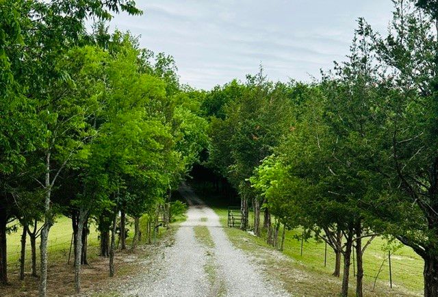 303 Celtic Road, Howe, TX 75459