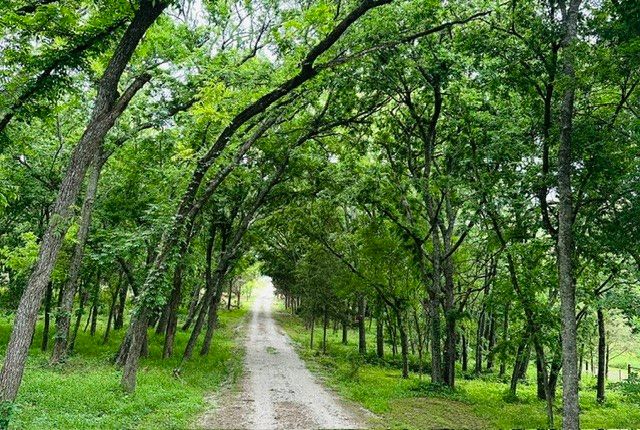 303 Celtic Road, Howe, TX 75459