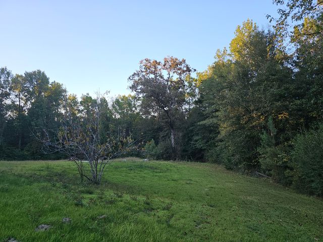 208 Red Top, Lumberton, MS 39455