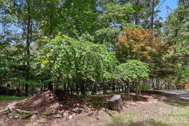 3 Edelweiss Drive, Horse Shoe, NC 28742